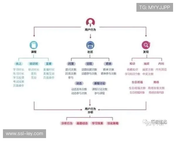 用户画像精度提升，个性化营销点击率增长