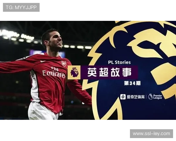 足球与社区：英超俱乐部基层教育项目社会责任评估