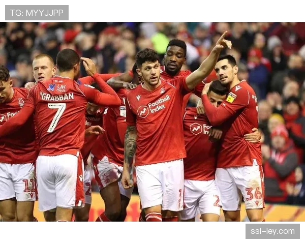 保级战缩影:埃弗顿战平诺丁汉森林,双方仍未脱离降级区 保级战缩影:埃弗顿战平诺丁汉森林,双方仍未脱离降级区