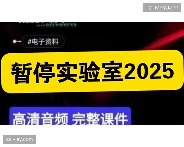 第三节官方暂停期间,大屏幕展示本场比赛至今的“攻防节奏”与“有效命中率”对比图。 第三节官方暂停期间,大屏幕展示本场比赛至今的“攻防节奏”与“有效命中率”对比图。